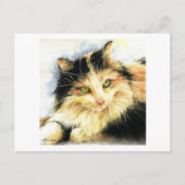 Carte Postale 0010 Calico Cat (Devant)