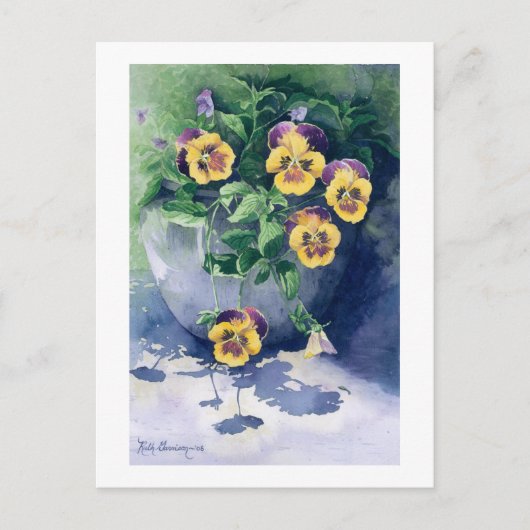 Carte Postale 0011 Pansies dans Planter (Devant)