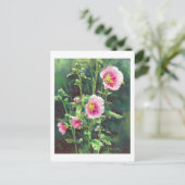 Carte Postale 0013 Hollyhocks roses (Debout devant)