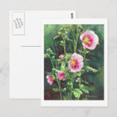 Carte Postale 0013 Hollyhocks roses (Devant / Derrière)