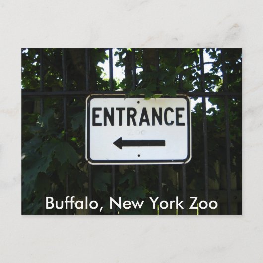 Carte Postale 001, Buffalo, New York Zoo (Devant)