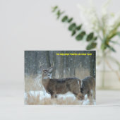 CARTE POSTALE 011110-40-APC (Debout devant)