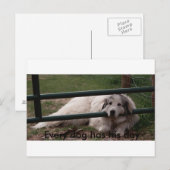 Carte Postale 022_2, Chaque chien a sa journée (Devant / Derrière)