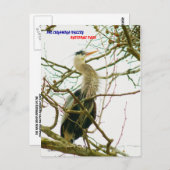 CARTE POSTALE 040111-145-APS (Devant / Derrière)