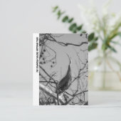 CARTE POSTALE 040510-9-APC (Debout devant)