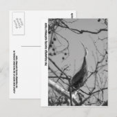 CARTE POSTALE 040510-9-APC (Devant / Derrière)