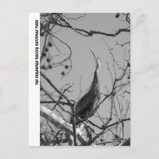 CARTE POSTALE 040510-9-APC (Devant)