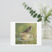 Carte postale 0470 Sparrow (Debout devant)