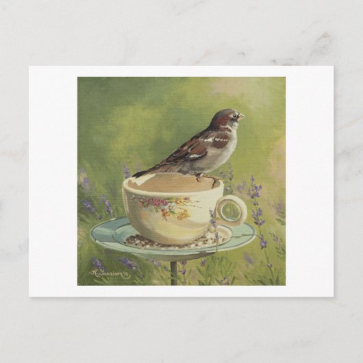 Carte postale 0470 Sparrow (Devant)