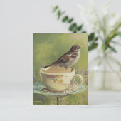 Carte postale 0470 Sparrow (Debout devant)