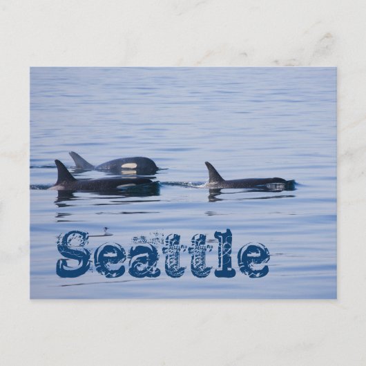 Carte Postale 04, Seattle (Devant)