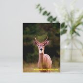 CARTE POSTALE 070306-34-APC (Debout devant)