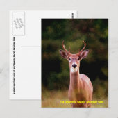 CARTE POSTALE 070306-34-APC (Devant / Derrière)