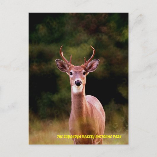 CARTE POSTALE 070306-34-APC (Devant)