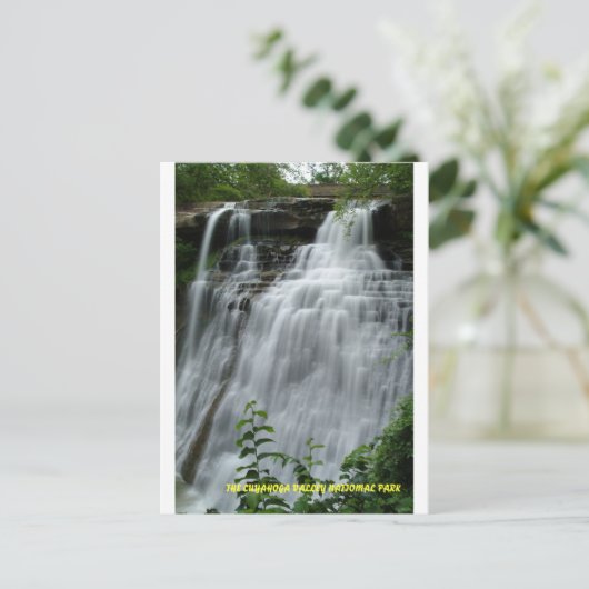 CARTE POSTALE 071809-314PC (Debout devant)