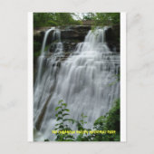 CARTE POSTALE 071809-314PC (Devant)