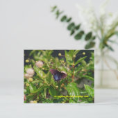 CARTE POSTALE 080706-6PC (Debout devant)