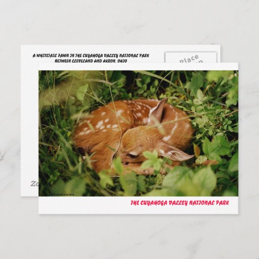 CARTE POSTALE 080806-17-APC (Devant / Derrière)