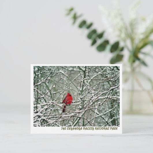 CARTE POSTALE 080806-25-APC (Debout devant)