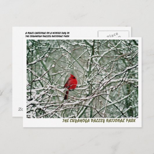 CARTE POSTALE 080806-25-APC (Devant / Derrière)