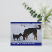 Carte Postale 0WCB_boy, ... (Debout devant)