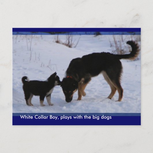 Carte Postale 0WCB_boy, ... (Devant)