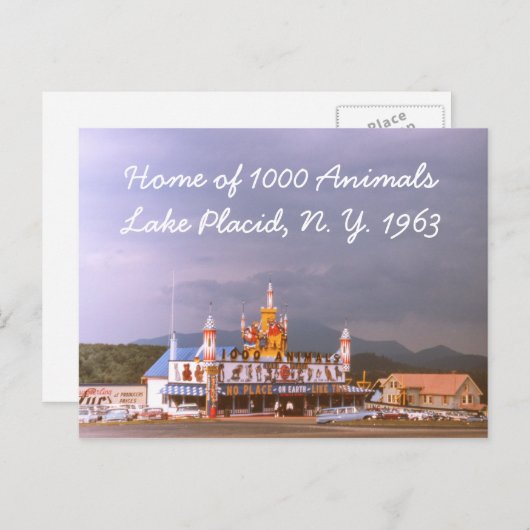 Carte postale 1000 Animaux Lake Placid (Devant / Derrière)