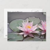 CARTE POSTALE 100_0085 (Devant / Derrière)