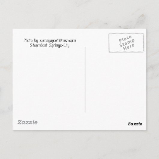 CARTE POSTALE 100_0085 (Dos)