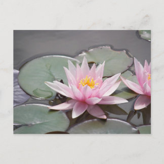 CARTE POSTALE 100_0085