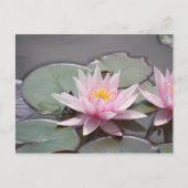 CARTE POSTALE 100_0085 (Devant)