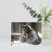 Carte Postale 100_0305, beauté noire, que voyez-vous ? (Debout devant)