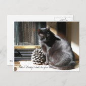 Carte Postale 100_0305, beauté noire, que voyez-vous ? (Devant / Derrière)