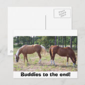 Carte Postale 100_0350, les copains jusqu'à la fin ! (Devant / Derrière)