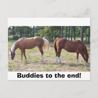 Carte Postale 100_0350, les copains jusqu'à la fin !