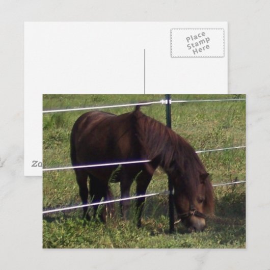 CARTE POSTALE 100_0375 (Devant / Derrière)