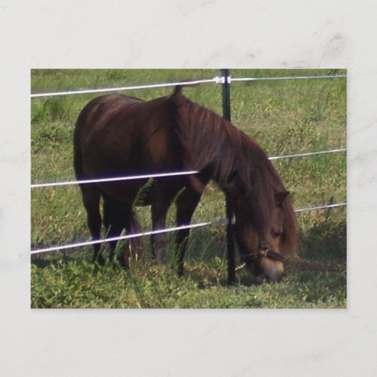 CARTE POSTALE 100_0375 (Devant)