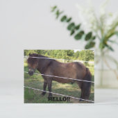 CARTE POSTALE 100_0376, BONJOUR ! ! (Debout devant)