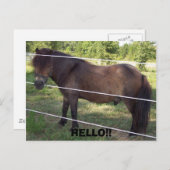 CARTE POSTALE 100_0376, BONJOUR ! ! (Devant / Derrière)