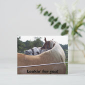 Carte Postale 100_0416, Lookin pour vous ! (Debout devant)