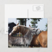 Carte Postale 100_0424, Amis pour toujours ! (Devant / Derrière)