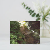 Carte postale 100_0500 (Debout devant)