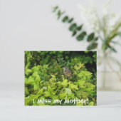 Carte Postale 100_1805, ma mère me manque ! (Debout devant)