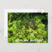 Carte Postale 100_1805, ma mère me manque ! (Devant / Derrière)