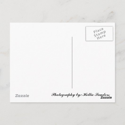 CARTE POSTALE 100_2297 (Dos)