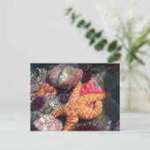 CARTE POSTALE 100_3063 (Debout devant)