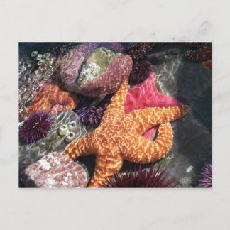 CARTE POSTALE 100_3063