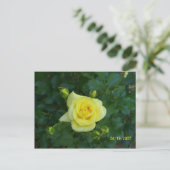 CARTE POSTALE 100_3464 (Debout devant)