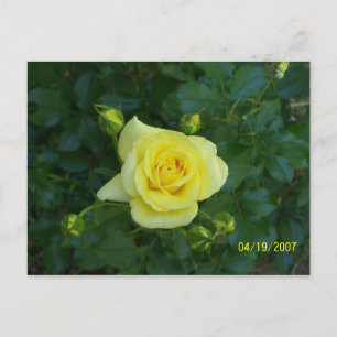 CARTE POSTALE 100_3464