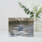 CARTE POSTALE 100_8578, FLORIDE KEY LARGO (Debout devant)